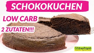 Der 2 Zutaten Schokokuchen Low Carb Schokokuchen ohne Mehl backen I Einfache Low Carb Rezepte [upl. by Adamo]