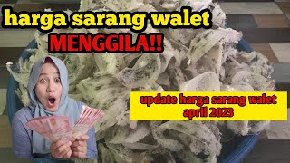 KAGET Harga sarang burung walet APRIL 2023 [upl. by Cecelia]