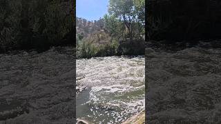 Cache Creek Valley Vista Hiking trail Beautiful Butterflies 🦋 [upl. by Anyehs]