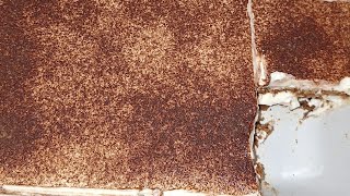 Recette du quotTiramisu au Speculoos Cannellequot facile et rapide [upl. by Anirda995]