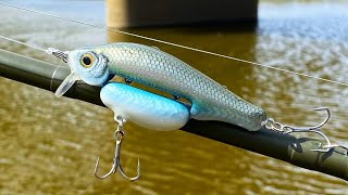 Jointed Belly Emerald Shiner JerkBait  Build to Catch [upl. by Terej161]