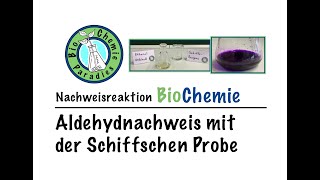 Nachweisreaktion BioChemie – Aldehydnachweis mit der Schiffschen Probe [upl. by Haugen]