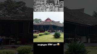 😯kerala hidden tourist places tamil😨  Thekkady history  Tamil vlog monsoon trending shortsfeed [upl. by Alon929]