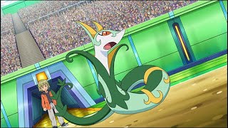 Trips Serperior AMV [upl. by Airemahs899]