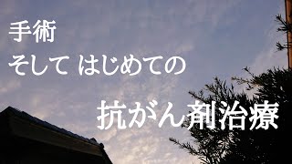 初めての抗がん剤 副作用はこんな感じ変わった気持ち【卵巣がんサバイバー】2 [upl. by Lemraj]