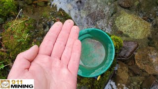 This Creek Contains Good Gold amp A Molybdenum Deposit [upl. by Hooke]