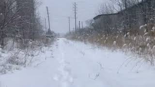 Walking the OrangevilleBrampton Railway Rosedale Ave to Railroad St [upl. by Hullda]