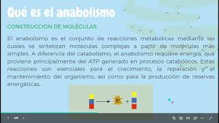 Catabolismo y el Anabolismo celular BIOLOGIA [upl. by Sadonia203]