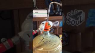 Home brew carboy to keg enclosed CO2 transfer [upl. by Eardnaed301]