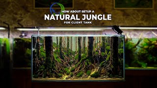 NATURAL JUNGLE STYLE AQUASCAPE FOR CLIENT BY STEP BY STEP  AQUASCAPE TUTORIAL [upl. by Gerianna297]