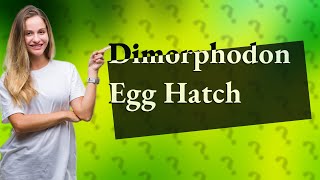 How do you hatch a Dimorphodon egg [upl. by Anibas]