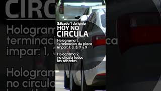 Suspenden contingencia ambiental en el Valle de México ¿qué autos pueden circular [upl. by Ahsilem]