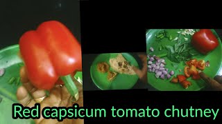 Red capsicum chutney in Tamil chutney recipe in Tamil red capsicum [upl. by Paugh]