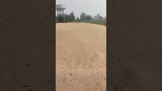 Paddy harvesting and cultivation  total 4 acer padd yorld agriculture smartagri paddycrop sm [upl. by Lucien501]