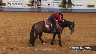 2023 Nutrena AQHA World and Adequan Select World Amateur Reining [upl. by Brenner]