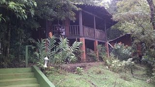 RUTA HELICONIAS LODGE BIJAGUA UPALA [upl. by Nivrag]