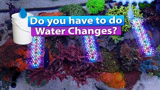 Do you have to do water changes on your saltwater aquarium [upl. by Halford403]