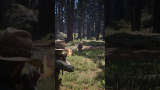 RDR2 Getting rid of skinner brothers pestcontrol rdrgameplay rdrd2 [upl. by Iinden]