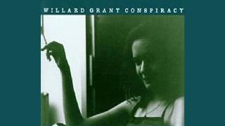 The Willard Grant Conspiracy  The Color Of The Sun [upl. by Woodward]