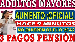 💥3 PAGOS🔔PENSION de Adultos Mayores ♨️SUPERAUMENTO 2025 CONFIRMA CLAUDIA💵MIRA ANTES QUE LO BORREN📢 [upl. by Bo]