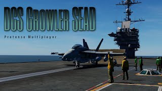 EA18G Growler Pretense SEAD  DCS Multiplayer [upl. by Rosina]