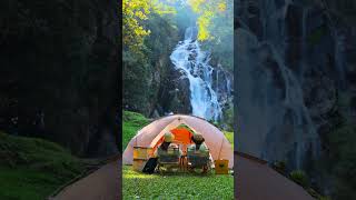 Relaxing forest Music with Water Sounds • Peaceful Ambience for Meditation Spa Yoga and Relaxation [upl. by Pompei]