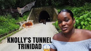 Knollys Tunnel in Trinidad [upl. by Nylarej813]