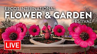 🔴LIVE Epcot International Flower amp Garden Festival  Walt Disney World Live Stream [upl. by Orbadiah]