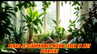 🌿 De Beste Planten om Je Slaapkamer te Decoreren Design en Ontspanning 🌿 [upl. by Agamemnon]