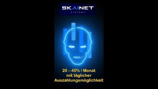 Skainet Introvideo passives Einkommen deutsch [upl. by Elsey]