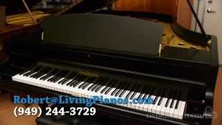 Used Chickering Grand Piano for Sale  Chickering amp Sons Pianos [upl. by Yrtsed]