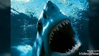 Jaws theme song extended 8 min by Steven Spielberg [upl. by Bainbrudge]