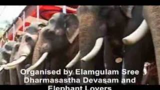 Elamgulam Gajamela Gajaraja Sangamam 07 Kerala Elephants [upl. by Suirauqram]