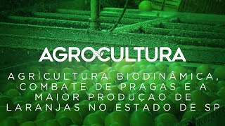 Você sabe o que é a agricultura biodinâmica e como ela funciona [upl. by Dom]