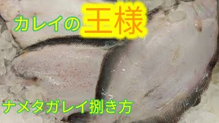 魚の捌き方ナメタガレイ！捌き方 [upl. by Jules]