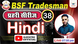 BSF Tradesman 2024  Hindi Class  Hindi Practice Set 38  BSF Hindi PYQs Hindi By B L SIR [upl. by Adroj]