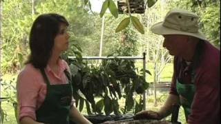 Planting an EarthBox with Blake amp Dorothy part two [upl. by Boothe]