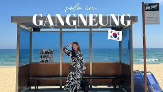 SOLO in GANGNEUNG VLOG 🇰🇷 bts bus stop greem cafe amp arte museum [upl. by Duke]