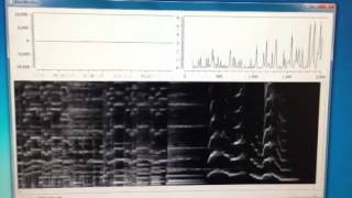 Realtime python spectrograph test [upl. by Dlorej]