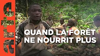 Cameroun  la terreur verte  ARTE Reportage [upl. by Ahtekahs]