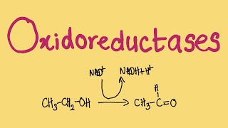 What is an Oxidoreductase  MCAT Biochemistry [upl. by Enomes]