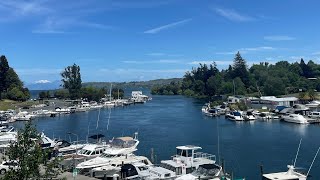 Taupo Marina [upl. by Voleta]