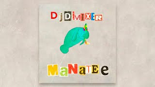 DJ DimixeR  Manatee NEW TRACK 2019 [upl. by Veron]