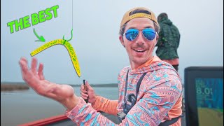 THIS Is The Best Spring Bass Fishing Lure [upl. by Comfort]