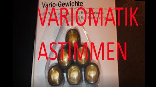 Variomatik abstimmen  Peugeot SV50 [upl. by Warton]