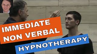 Immediate Non Verbal Hypnotherapy Techniques [upl. by Reimer]