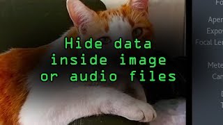 Conceal Secret Messages or Data Through Steganography with Steghide Tutorial [upl. by Methuselah962]