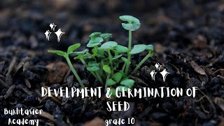 Structure and germination of seed  Matric  biology [upl. by Eltsirc]