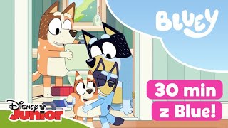 💙 30 MINUT z Blue i jej rodzinką  Blue  Disney Junior Polska [upl. by Adnat]