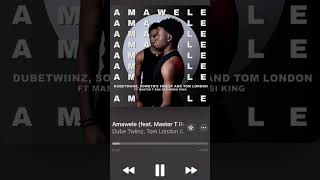 Amawele by Dube Twins Tom London Master Rox Nkosi King Soweto’s Finest [upl. by Ewen]